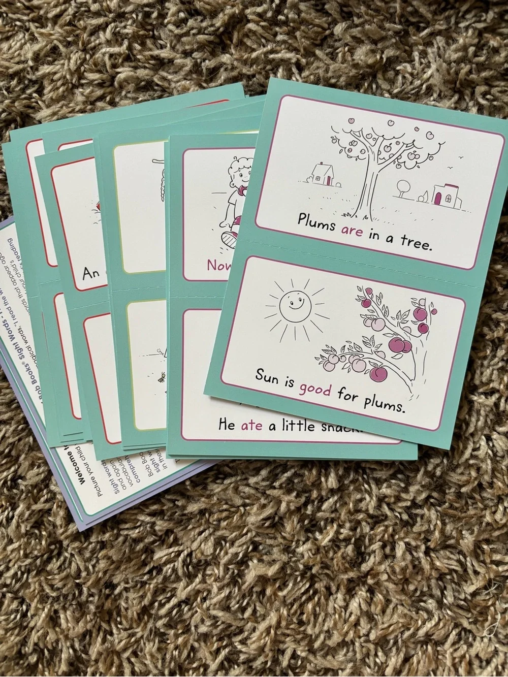 Scholastic Bob Books Sight Words First Grade- Stage 2 Emerging Reader